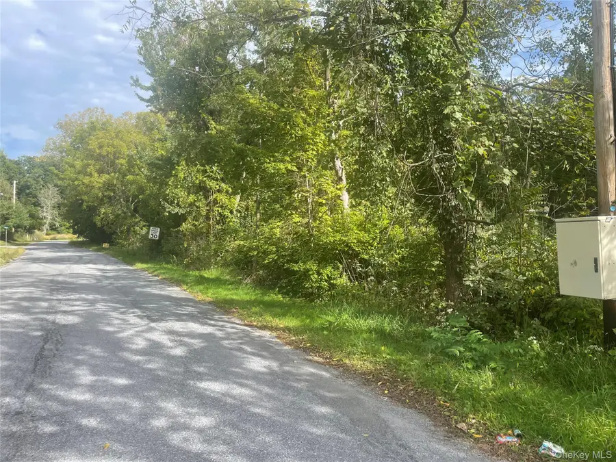 2 Big Meadow Lane, Poughkeepsie, NY 12601 - #2