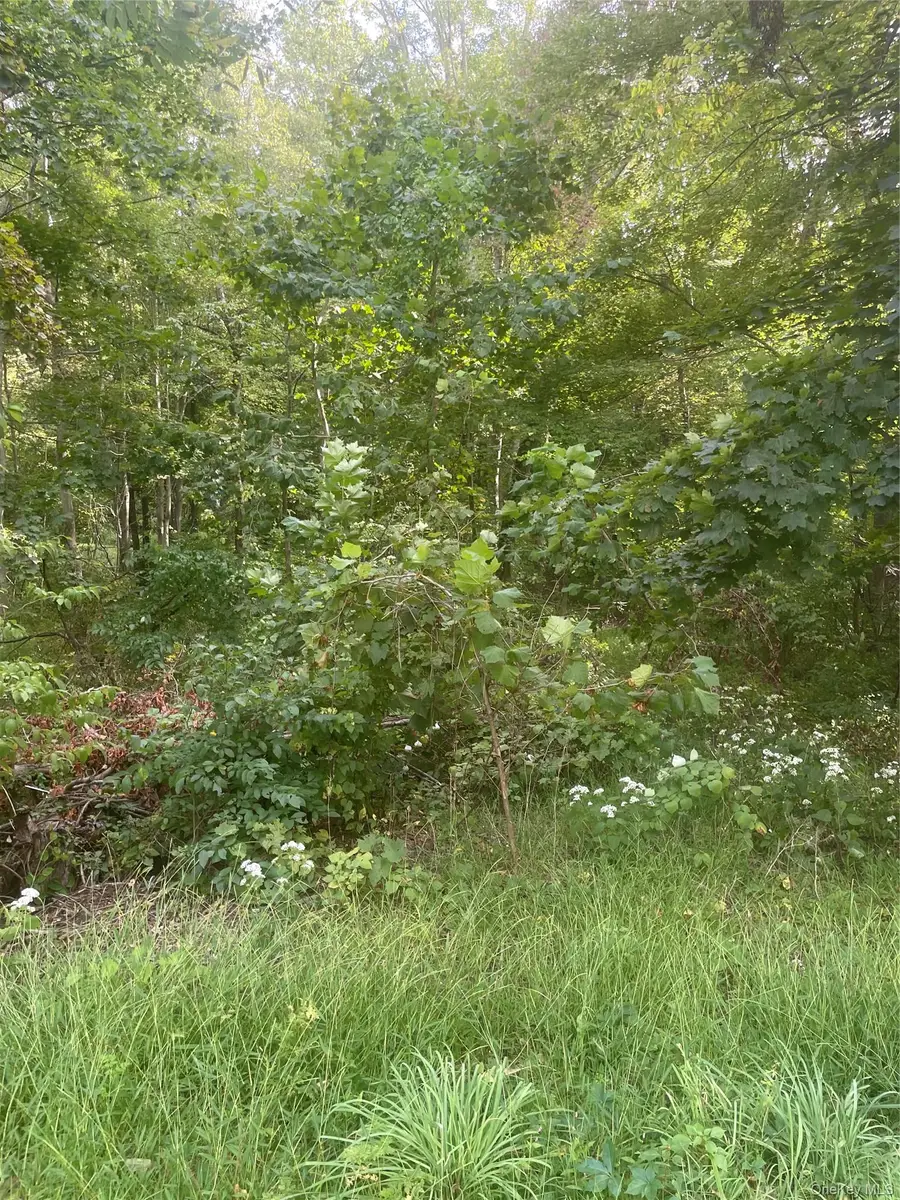2 Big Meadow Lane, Poughkeepsie, NY 12601 - #3