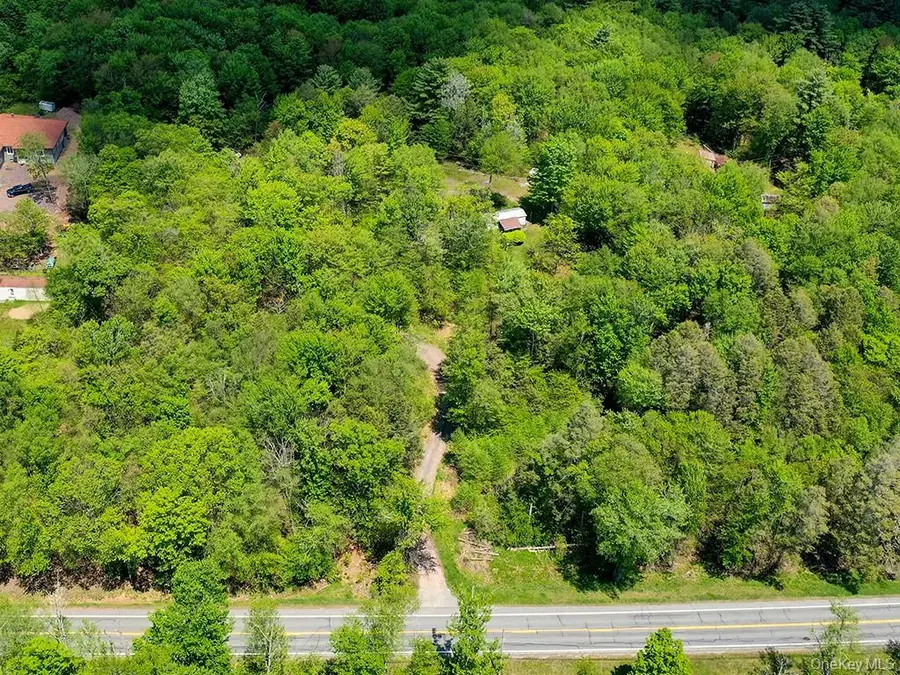 7173-7175 State Route 42, Grahamsville, NY 12740 - #3