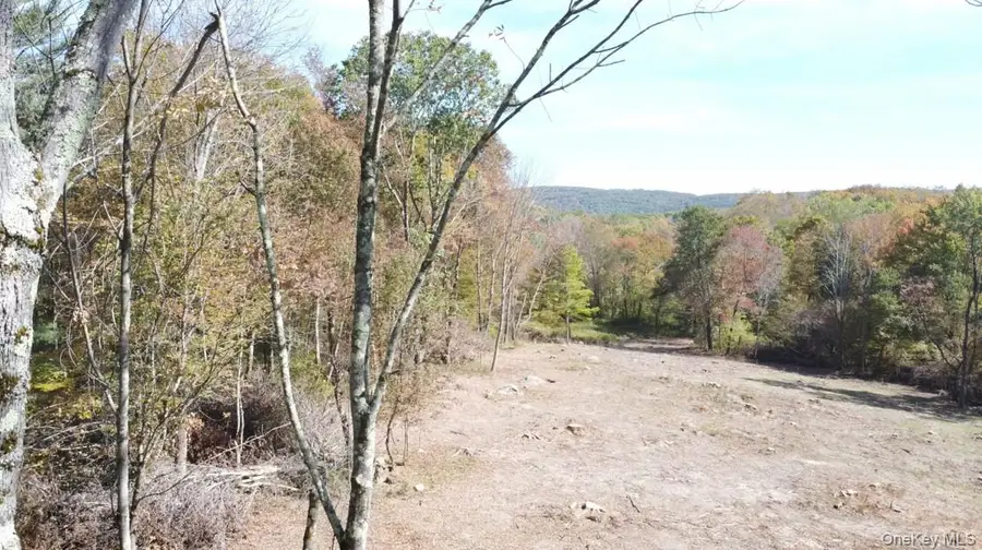 TBD West Hill Road, Austerlitz, NY 12017 - #3