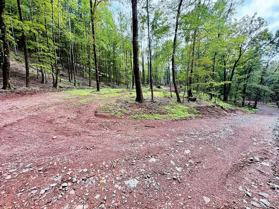 00 Hammer Road, Fremont Center, NY 12736 - #3