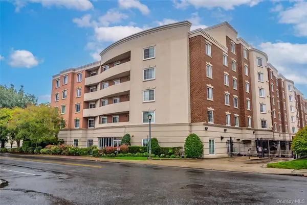 242 Maple Avenue #319, Westbury, NY 11590