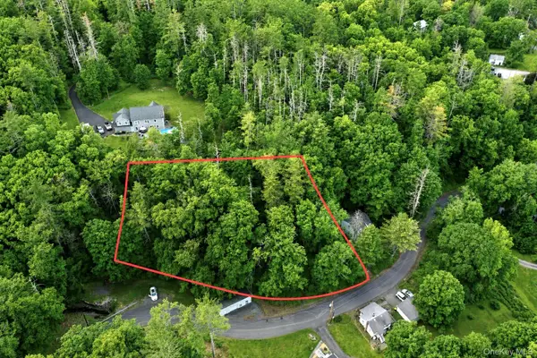 20 Wintergreen Hill Road, Kingston, NY 12401