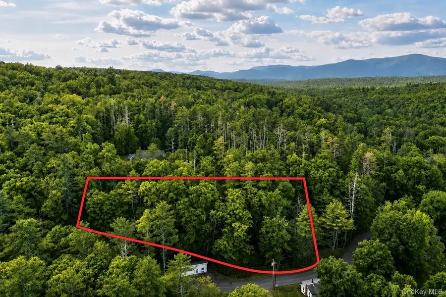 20 Wintergreen Hill Road, Kingston, NY 12401 - #3