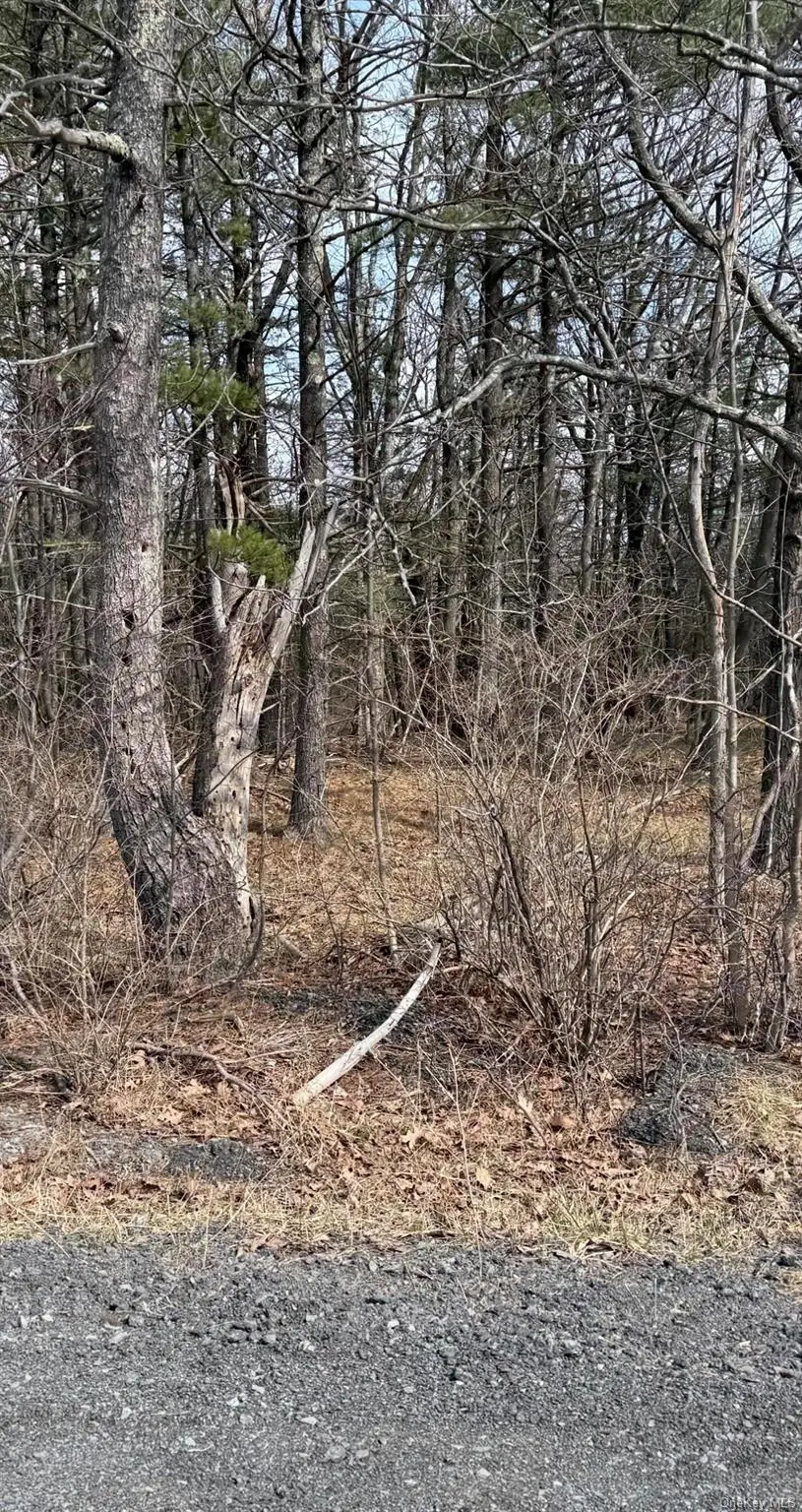 County Route 312, Patchogue, NY 12045 - #1