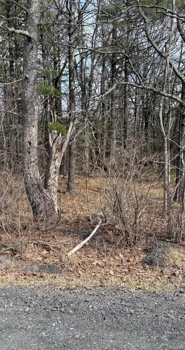 County Route 312, Call Listing Agent, NY 12045