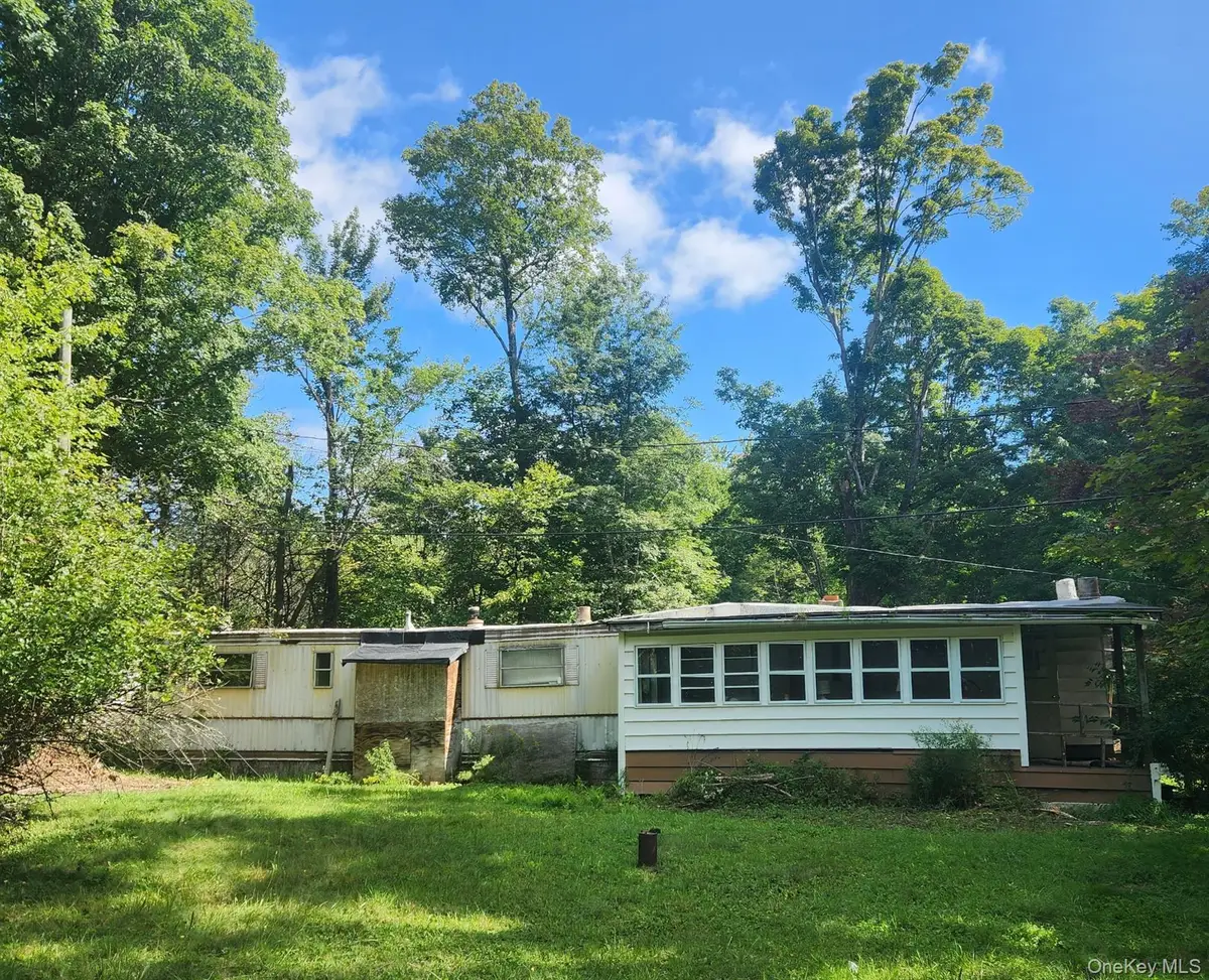 375 Aden Hill Road, Parksville, NY 12768 - #1