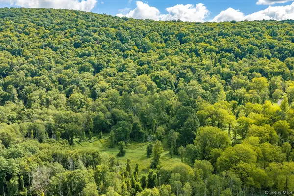 Route 22, Pawling, NY 12564