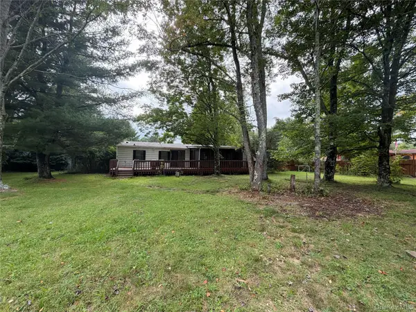 8 Hampshire Lane, Loch Sheldrake, NY 12759