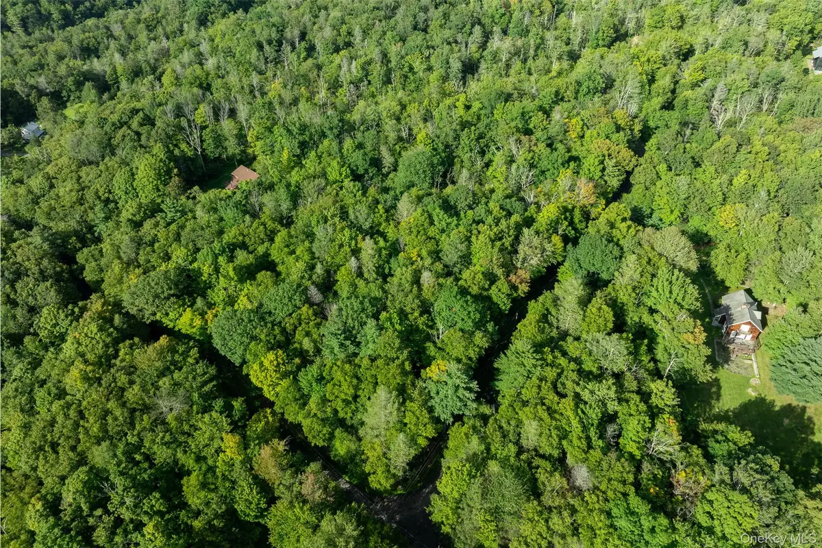 Lot 6 Mt Guardian Road, Bearsville, NY 12498 - #1