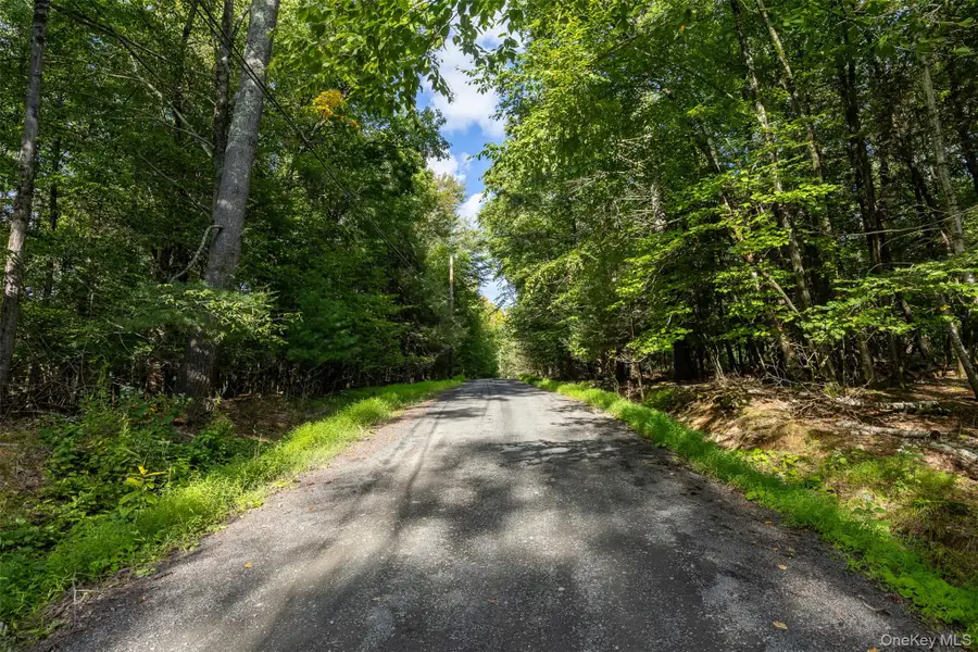 Lot 6 Mt Guardian Road, Bearsville, NY 12498 - #3