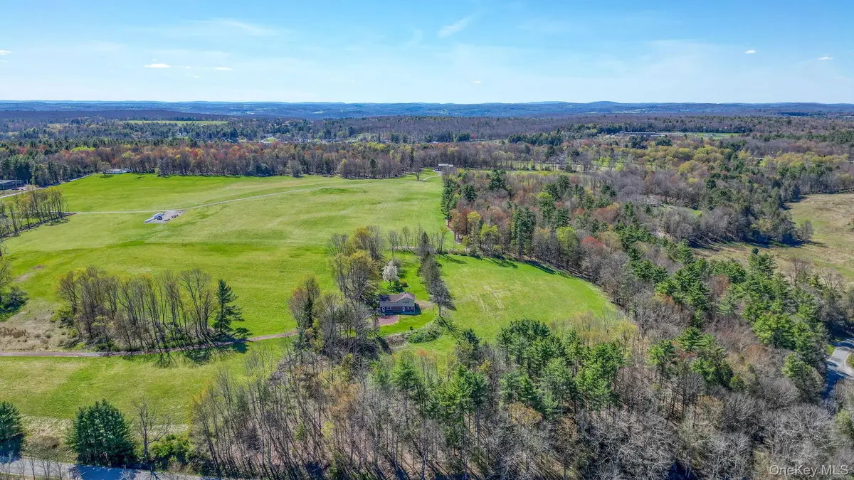 208 Shortcut Road, Cochecton, NY 12726 - #1