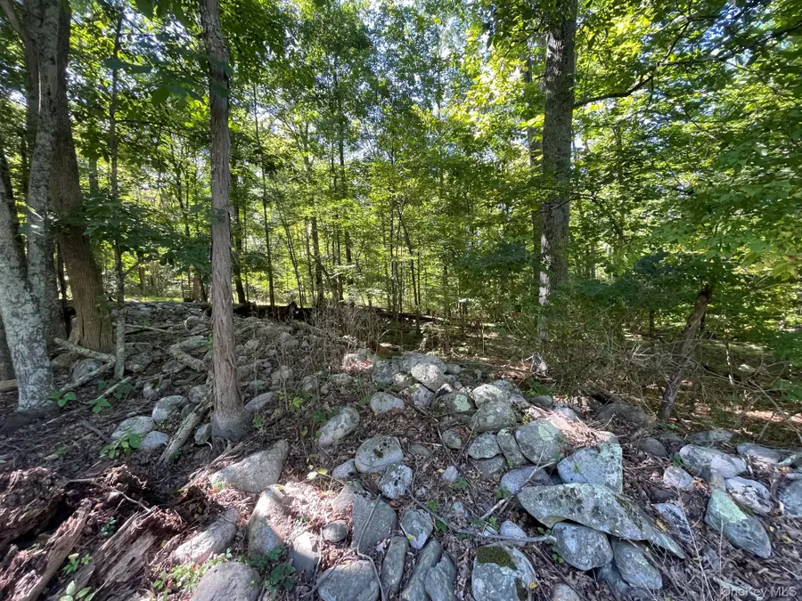 Co Rte 48, Thompson Ridge, NY 10985 - #2