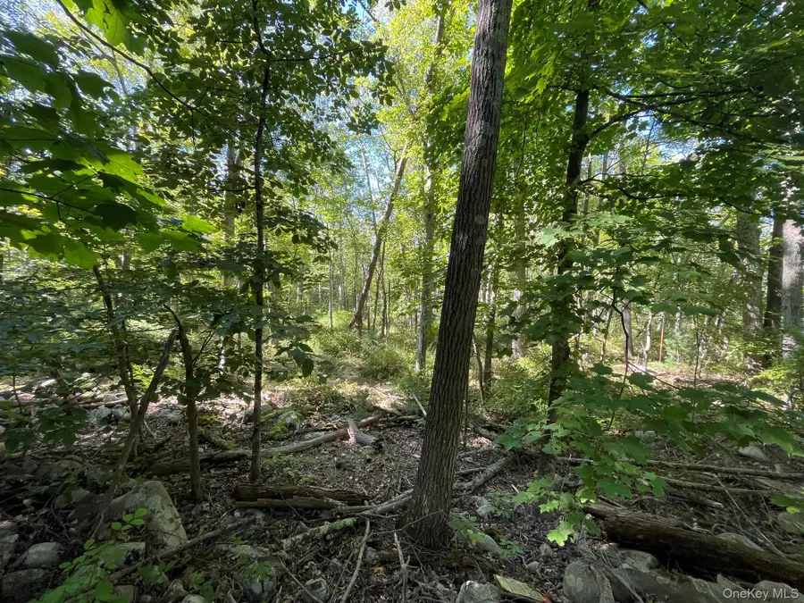 Co Rte 48, Thompson Ridge, NY 10985 - #3