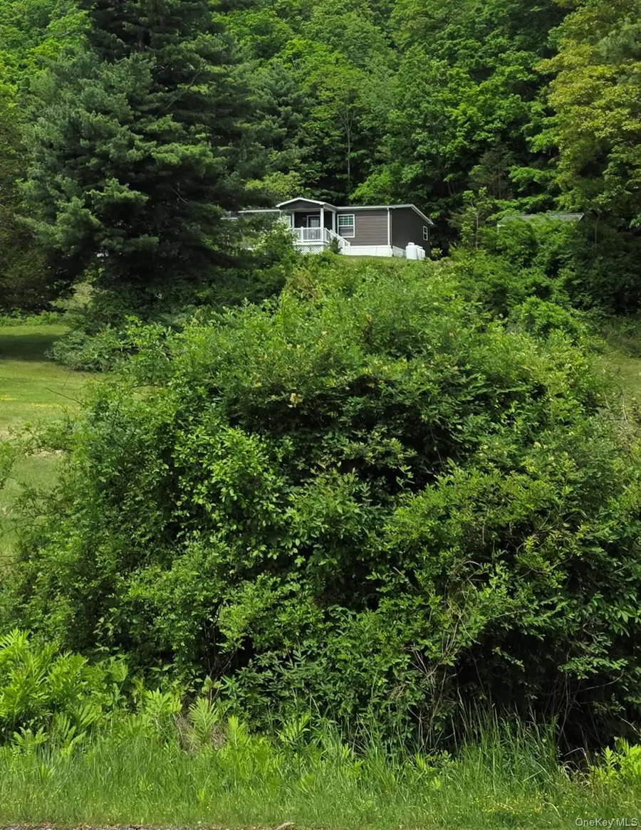 559 Lake Road, Pine Plains, NY 12567 - #2