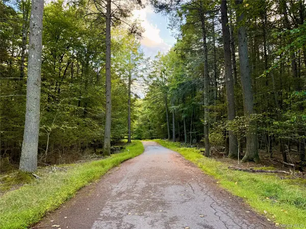 Orange Avenue, Smallwood, NY 12778