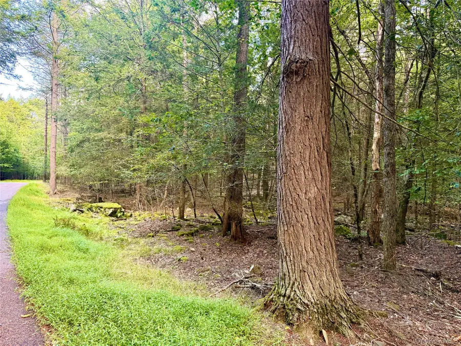 Orange Avenue, Smallwood, NY 12778 - #3