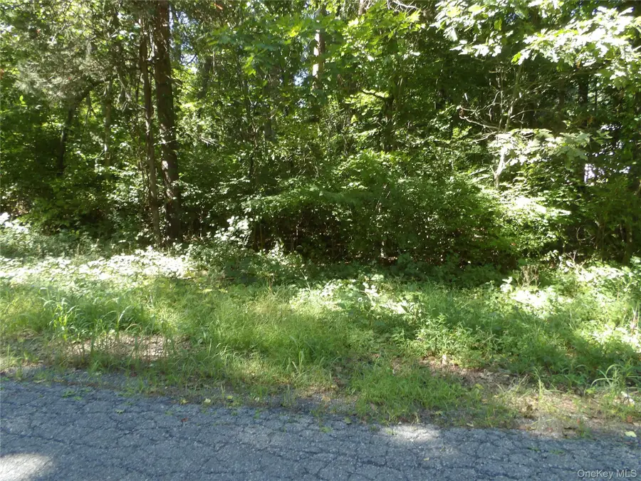 24 Hill Lane, Hopewell Junction, NY 12533 - #2