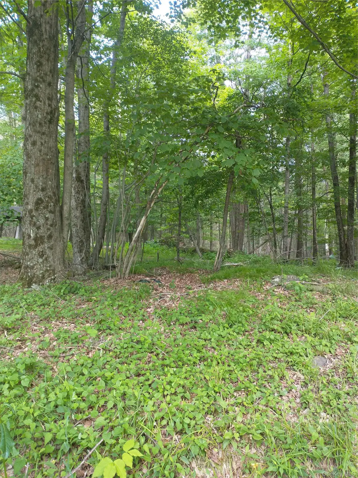 Old Loomis Road, Liberty, NY 12734 - #1