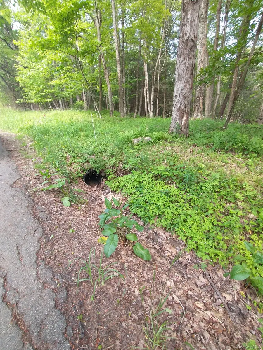 Old Loomis Road, Liberty, NY 12734 - #3