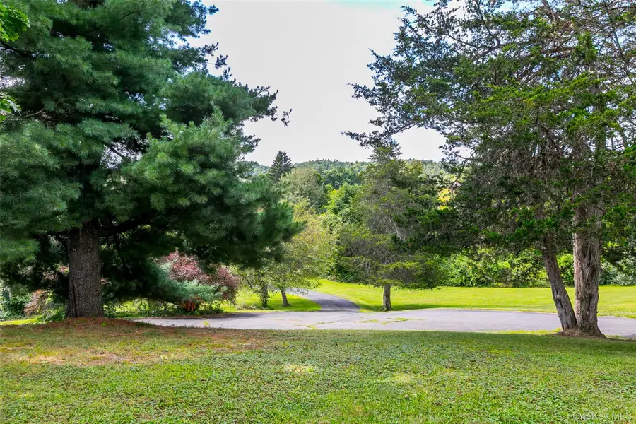 847 Route 82, Elizaville, NY 12523 - #3