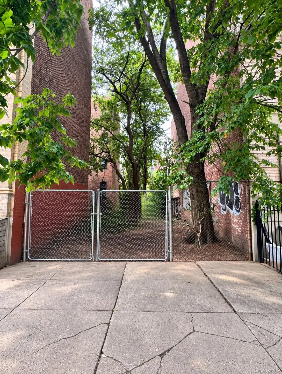 1404A Pacific Street, Brooklyn, NY 11216 - #1