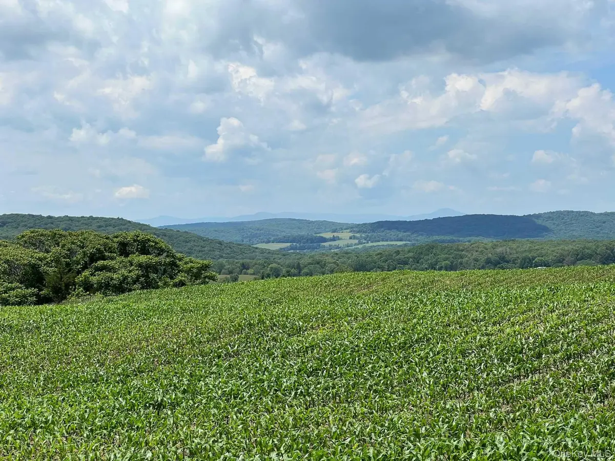 Route 82, Ancramdale, NY 12503 - #1