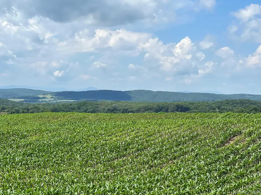Route 82, Ancramdale, NY 12503 - #3