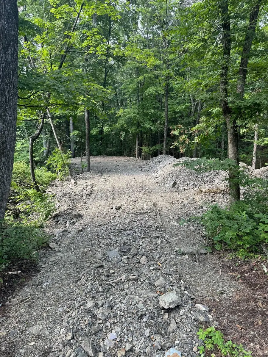 Lot 510455 Creek Road, Pleasant Valley, NY 12569 - #2