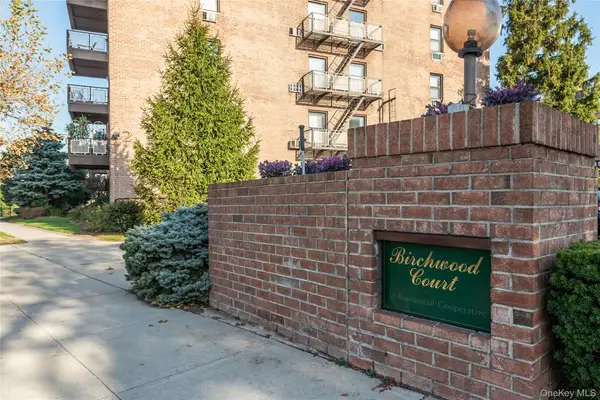 5 Birchwood Court #2-0, Mineola, NY 11501