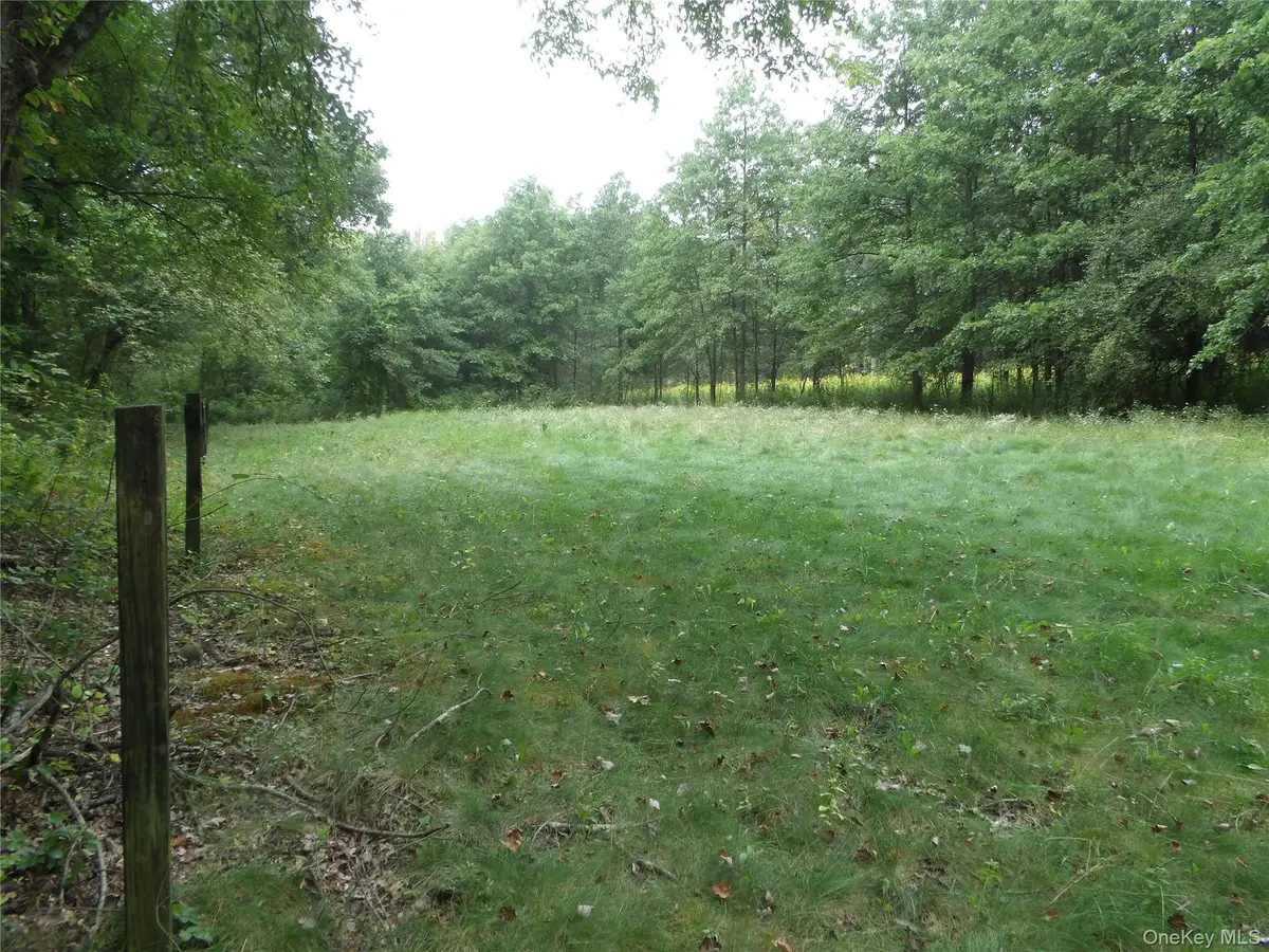 Bull Road, Rock Tavern, NY 12575 - #1