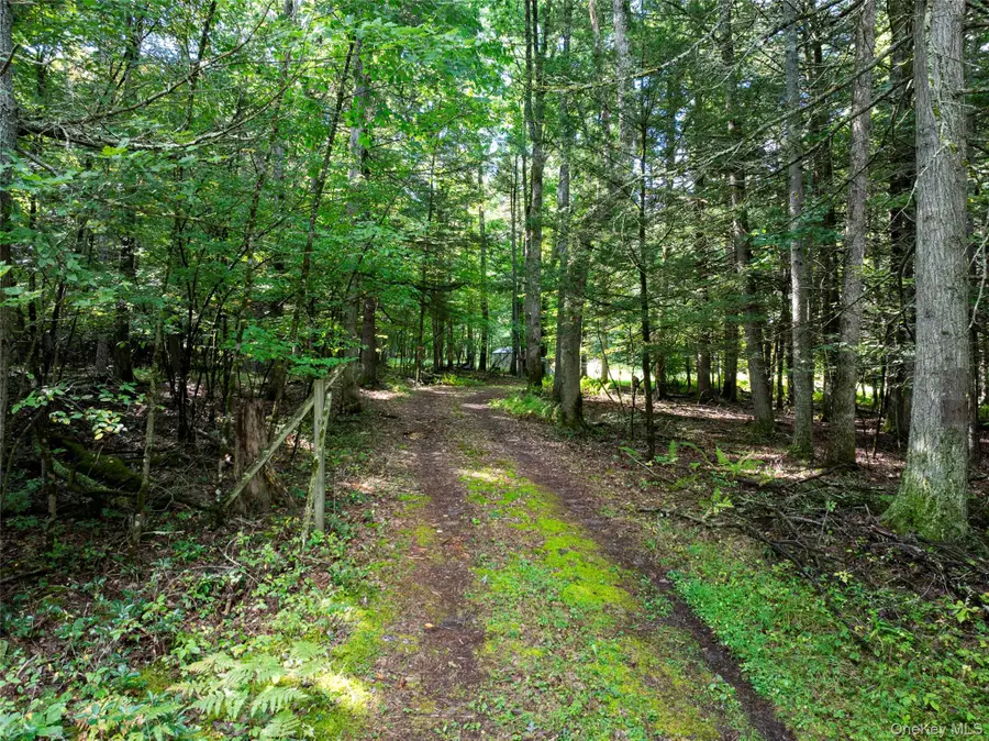 83 Perry Pond Road, Narrowsburg, NY 12764 - #2