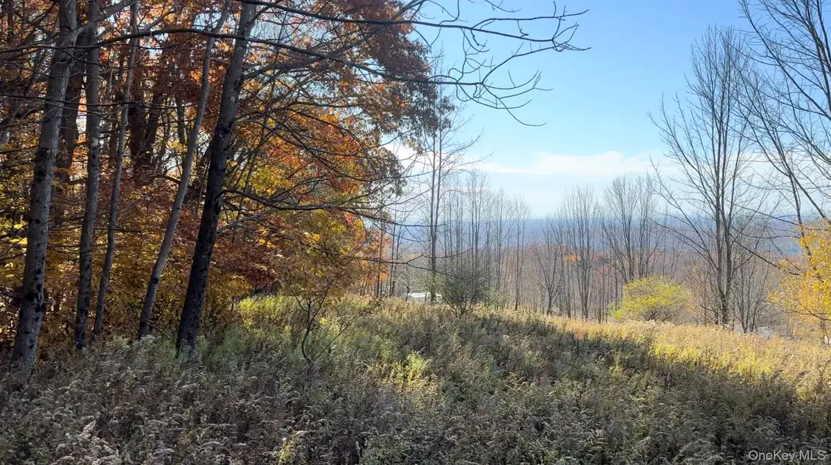 Chaffee Road, Liberty, NY 12754 - #1