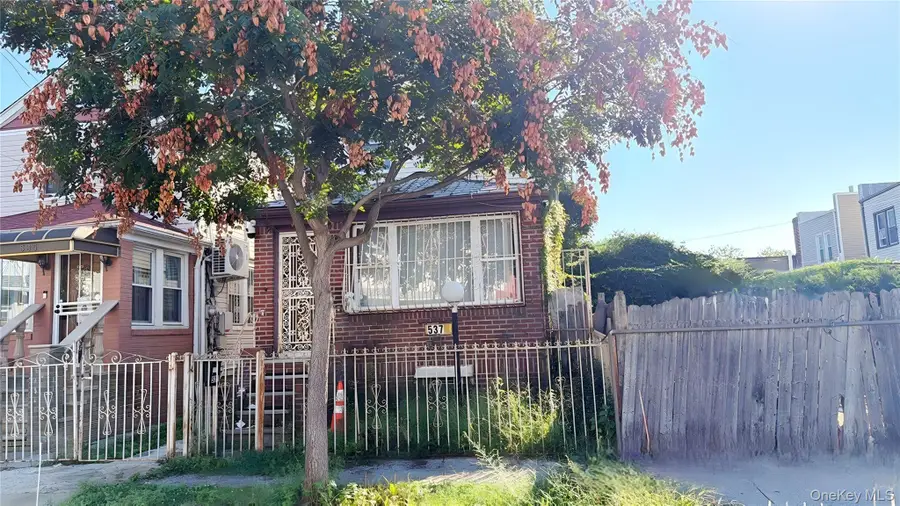 537 E 39th Street, Brooklyn, NY 11203 - #3
