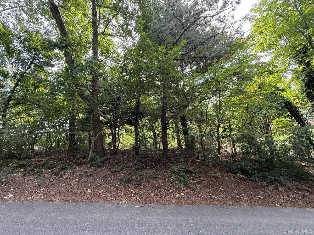Overhill Road, Rocky Point, NY 11778 - #1
