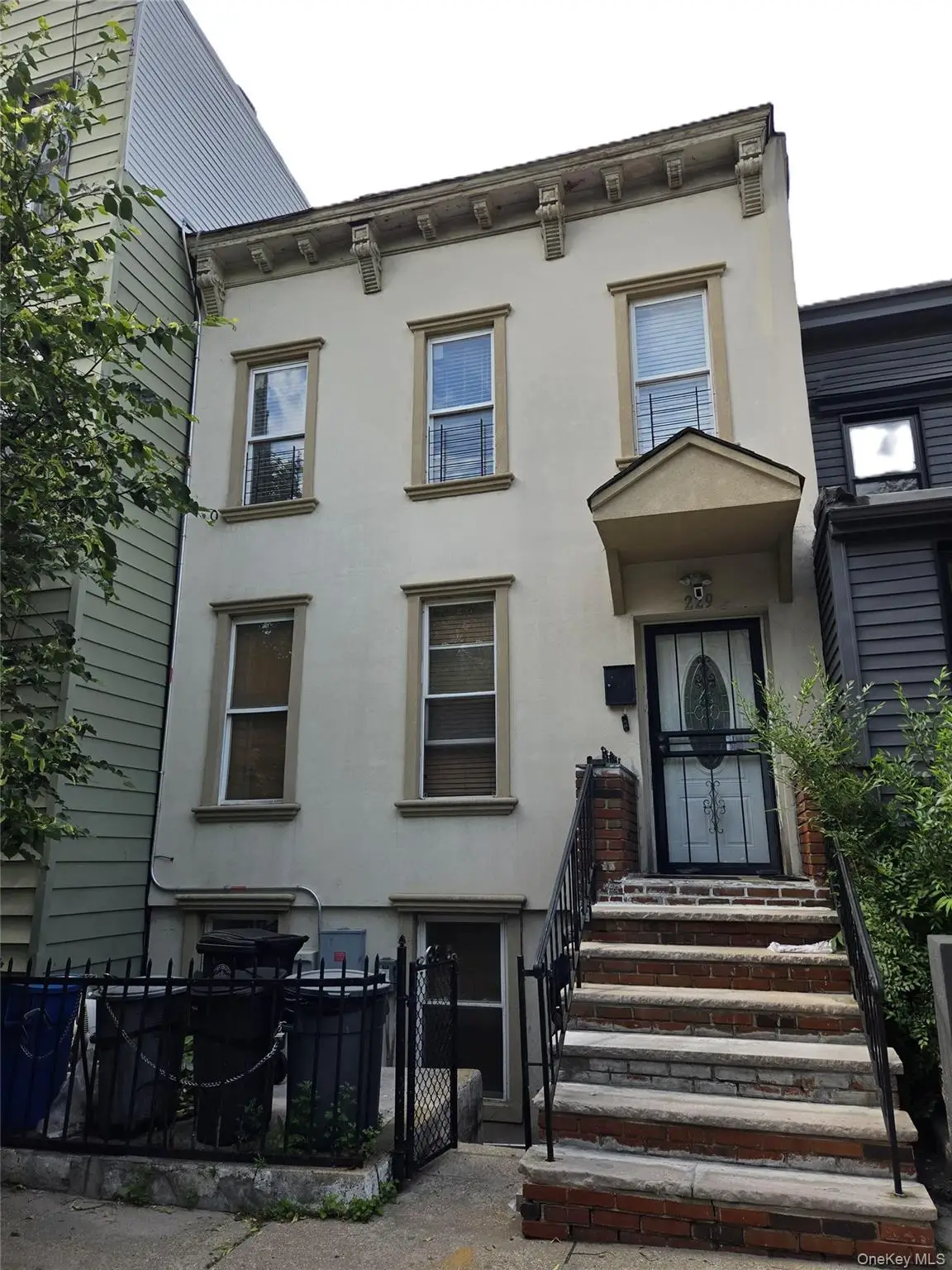 229 Macdougal Street, Brooklyn, NY 11233 - #1