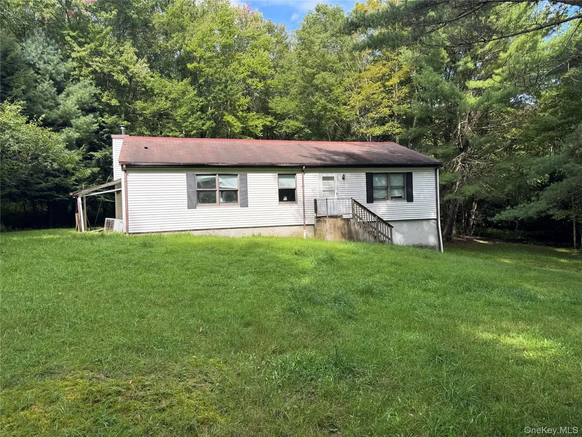 155 Blanchard Road, Swan Lake, NY 12783 - #1