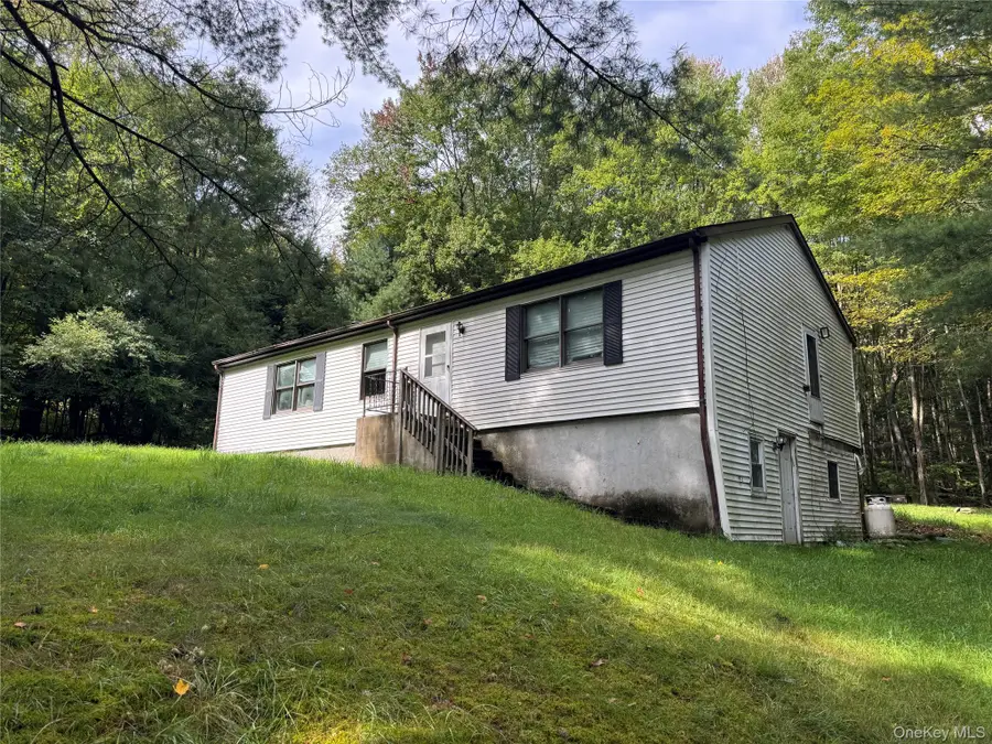 155 Blanchard Road, Swan Lake, NY 12783 - #3