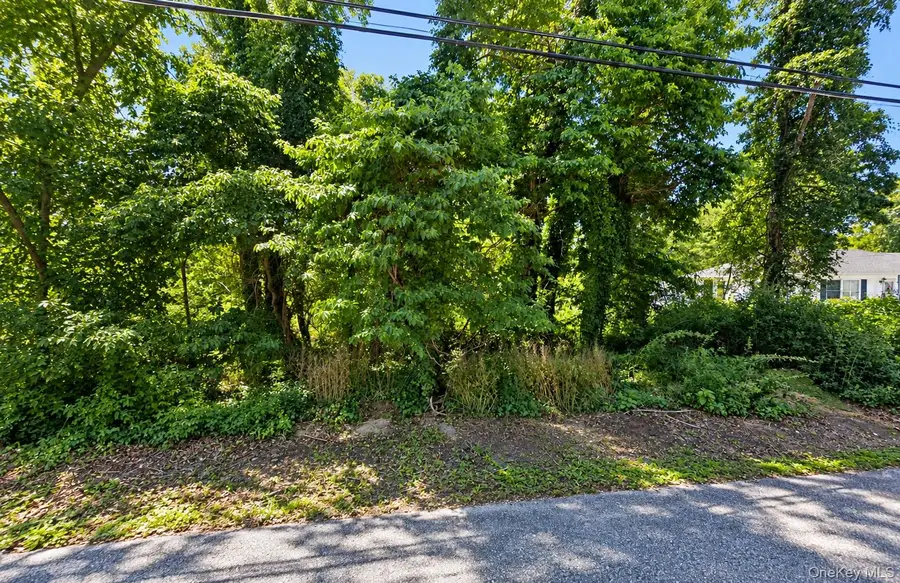 Coates Avenue, Holbrook, NY 11741 - #2