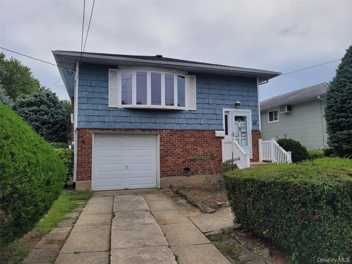 110 Crest Avenue, Elmont, NY 11003 - #1