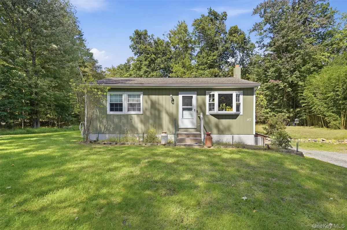 187 Birchwood Drive, Pine Bush, NY 12566 - #1