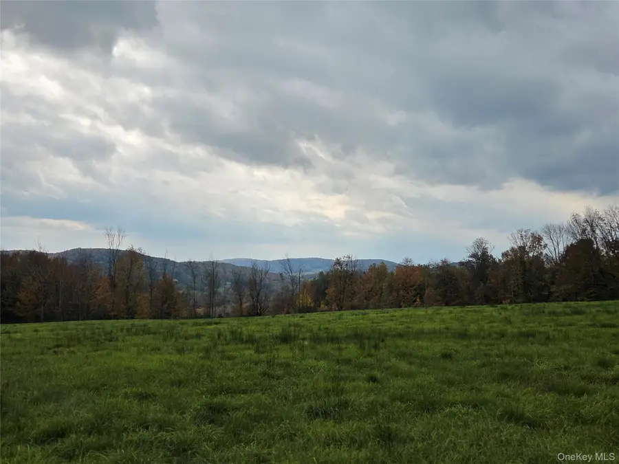 Lot #21 Herbert Road, Fremont Center, NY 12736 - #2