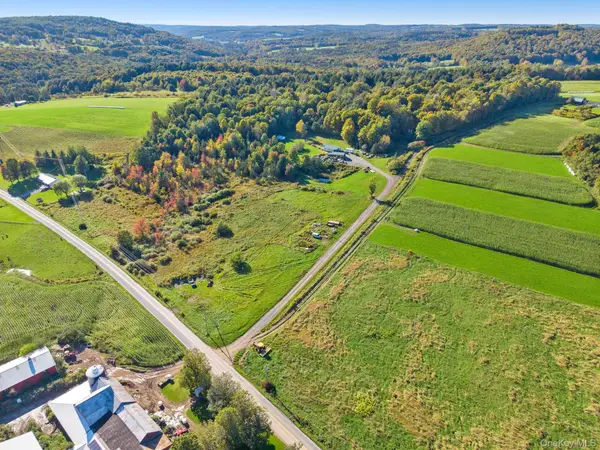 L1.3 N Harpersfield Rd, Jefferson Ny, Call Listing Agent, NY 12093