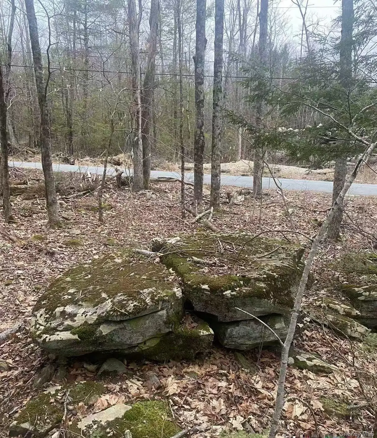 Ulster Heights Road, Ellenville, NY 12428 - #1