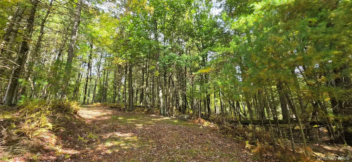 Lot 6.17 State Rt 97, Narrowsburg, NY 12764 - #1