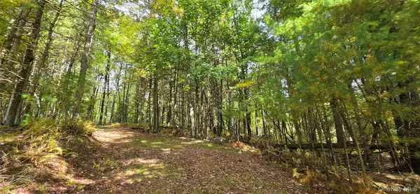 Lot 6.17 State Rt 97, Narrowsburg, NY 12764