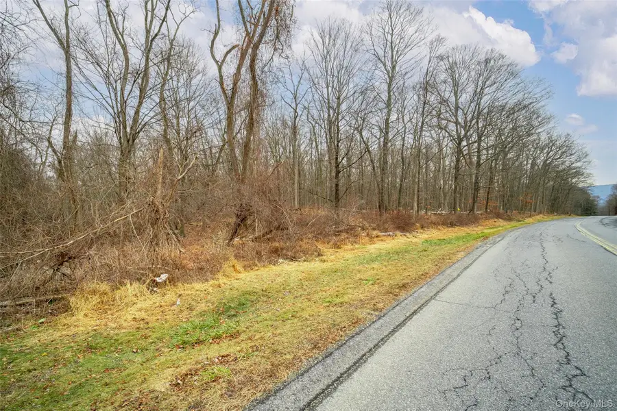 Baker Road, Hopewell Junction, NY 12533 - #3