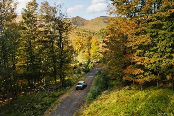 TBD Macdaniel Road, Bearsville, NY 12409