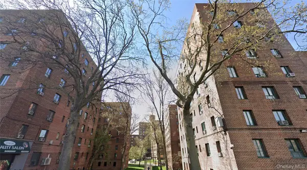 2120 E Tremont Avenue #3H, Bronx, NY 10462