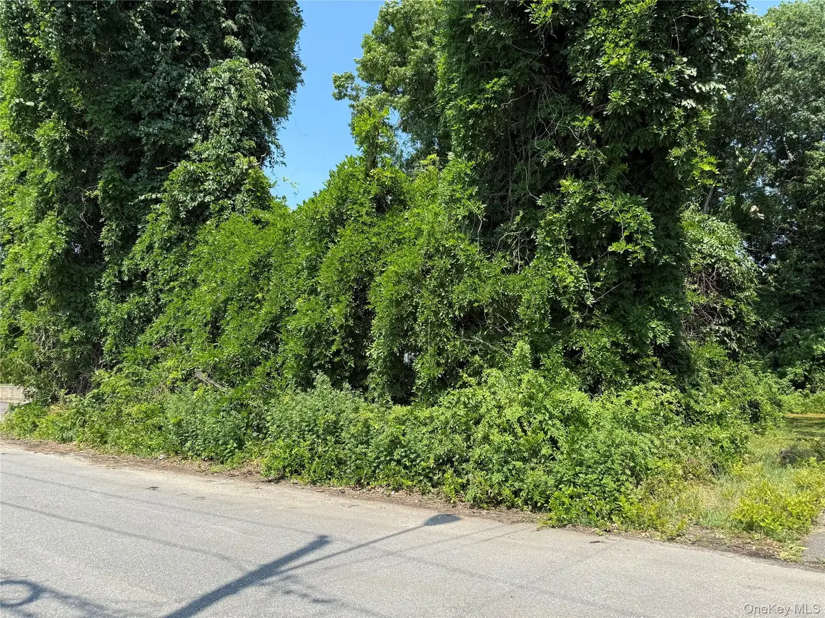 53 Spruce Street, Wyandanch, NY 11798 - #1